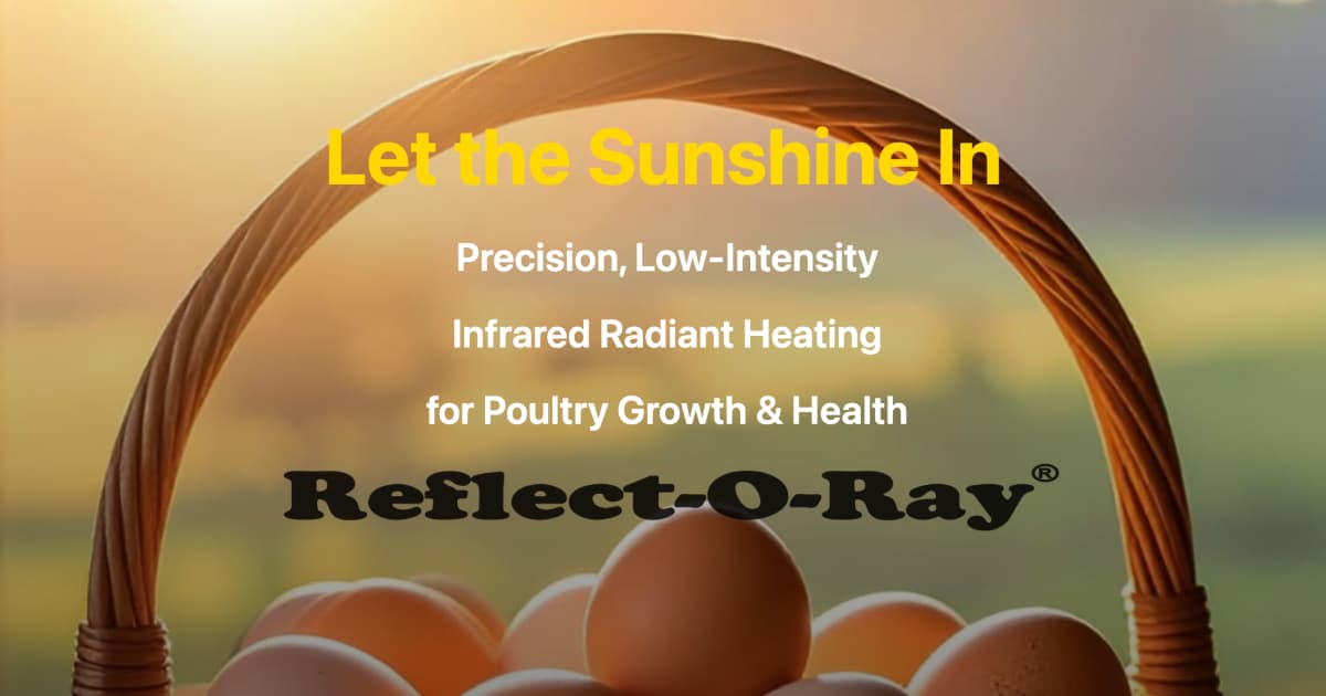 Let the Sunshine In — precision infrared radiant heating for poultry