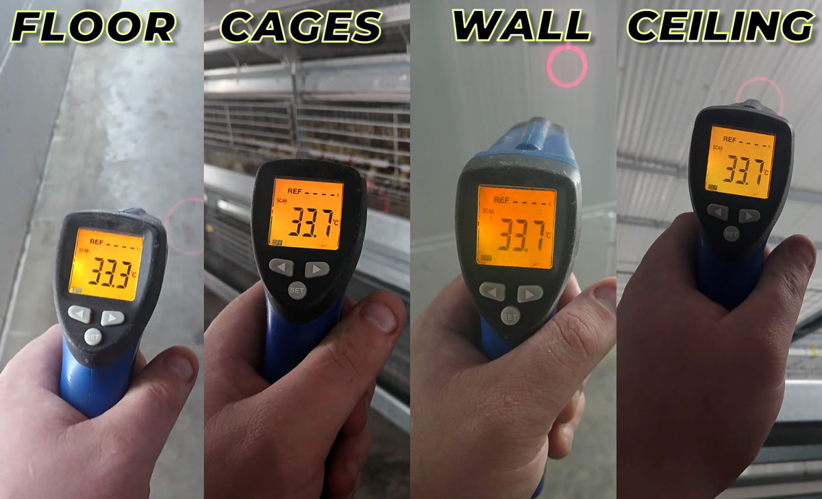 Four temperature gun readings at Spring Point Precision Poultry — Floor 33.3°C, Cages 33.7°C, Wall 33.7°C, Ceiling 33.7°C